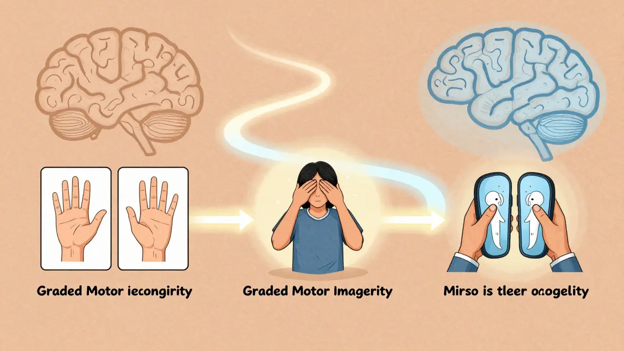 A timeline illustrating the three stages of graded motor imagery with brain maps transforming from chaotic to clear.